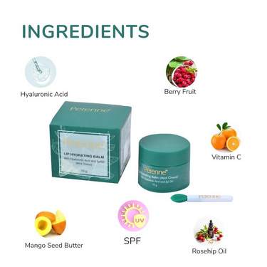 https://cdn.shopify.com/s/files/1/1857/6931/files/hQ5Wmj8CQ9.png?v=1726061134